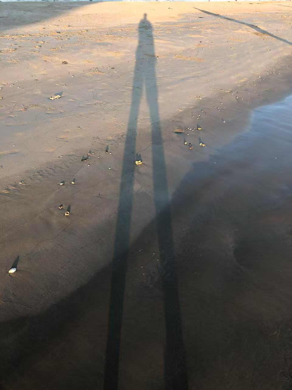 profile one